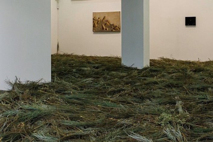 Exposição «Matéria Cíclica» de Ivo Andrade no Centro de Artes de Caldas da Rainha - Museu Leopoldo de Almeida e Espaço Concas, até 30 de janeiro de 2024