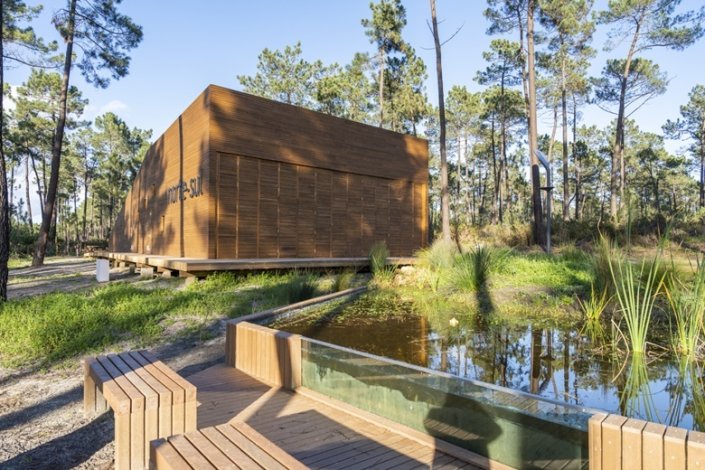 Mais de 600 espécies de fauna e flora identificadas no último ano no Parque Metropolitano da Biodiversidade, na Verdizela (Corroios)