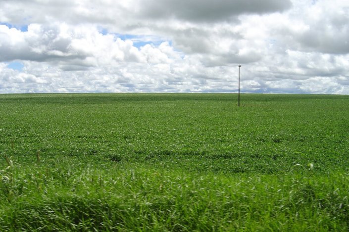 O Brasil – como a América Latina em geral – continua a ser um país marcado pela grande concentração da terra