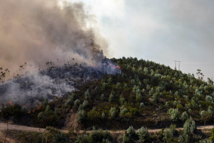 Os grandes incêndios que deflagraram a 15 e 16 de outubro em vários concelhos, sobretudo na região Centro, fizeram 45 mortos, dois desaparecidos, além de 70 feridos, atingindo no total 1500 casas e 500 empresas.