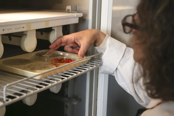 «Não sendo o ideal, é pelo menos muito melhor do que previa o decreto-lei», considera João Oliveira
