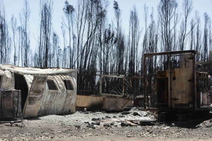 Os incêndios de Pedrógão Grande e Góis causaram avultados prejuízos na floresta, na agricultura e nas restantes actividades económicas de sete concelhos da zona Centro