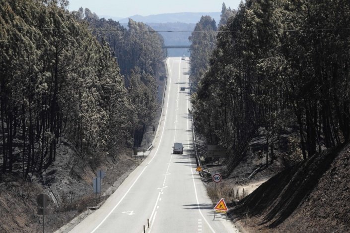 «Há hoje uma forma e um comportamento do incêndio que exige ser estudado e pensado», defende Duarte Caldeira
