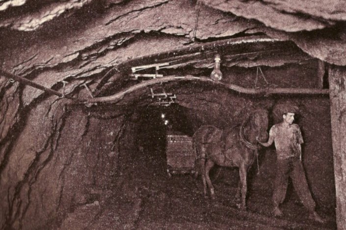 Mineiro de São Pedro da Cova