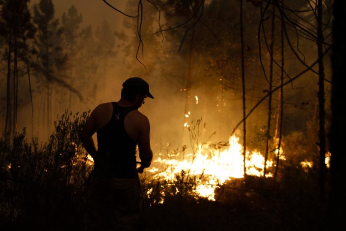 Um popular combate o incêndio em Junqueira, Ferreira do Zêzere,13 de agosto de 2017. O incêndio que há dois dias consome floresta em Ferreira do Zêzere, distrito de Santarém, chegou a Vila de Rei, no distrito de Castelo Branco.