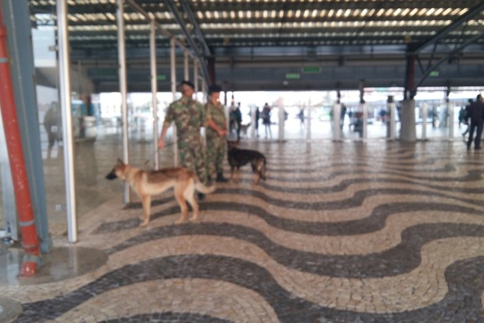Equipas cinotécnicas de militares em patrulha no Terminal Fluvial do Barreiro. 10 de Outubro de 2017