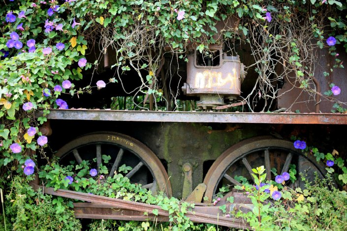 Locomotiva abandonada há mais de 20 anos na estação das Devesas, em Vila Nova de Gaia. 7 de Julho de 2014