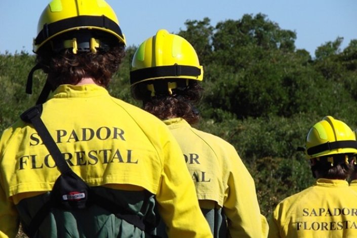 O deputado João Ramos (PCP) pediu que as verbas afectas à criação de novas equipas de sapadores florestais sejam discriminadas