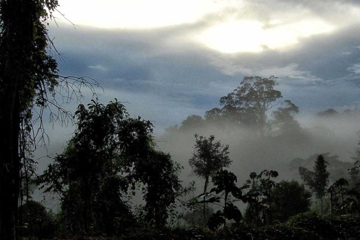 A Reserva Nacional do Cobre abrange uma área de 47 mil quilómetros quadrados nos estados do Amapá e do Pará