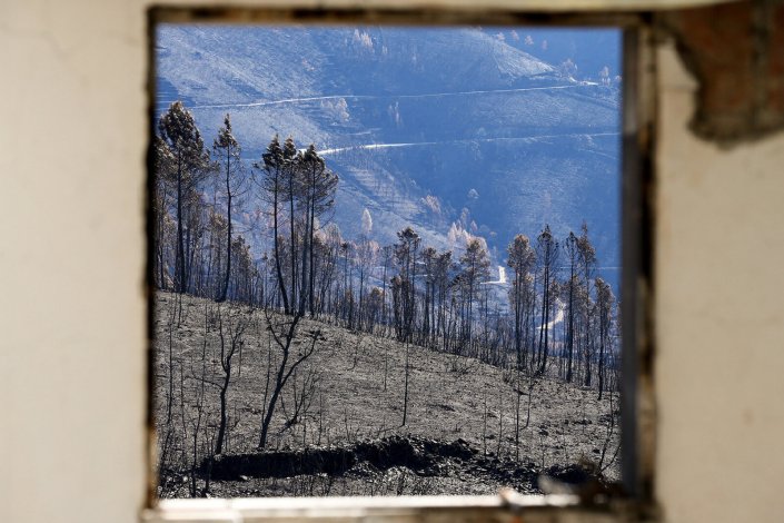 Rescaldo de incêndio florestal. Foto de arquivo (2017)
