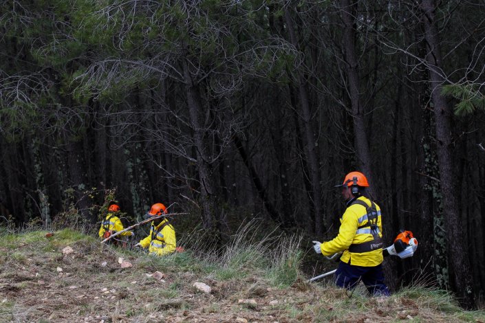 Trabalhadores procedem à limpeza de mato na Serra de São Mamede, em Portalegre, numa acção a nível nacional organizada pelo Instituto da Conservação da Natureza e das Florestas (ICNF). 24 de Março de 2018
