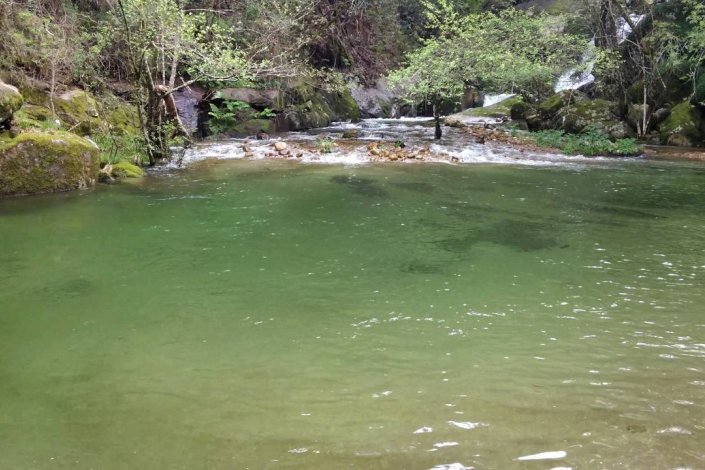 O Ribeiro de Sampaio, também designado Ribeiro Sonoso, desagua no Rio Douro é o ícone da freguesia de São Cristóvão da Nogueira