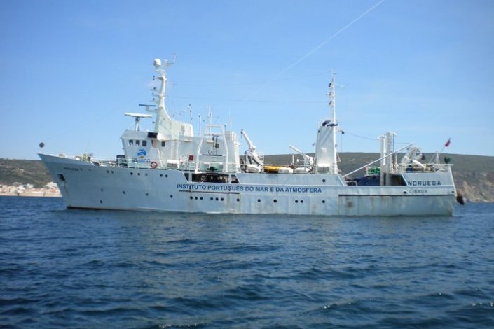 A greve contou ainda com o apoio dos restantes trabalhadores do IPMA e dos agentes do sector da pesca de cerco