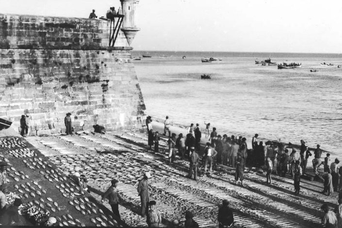 Até aos anos 70 do século XX, o peixe era organizado no areal, junto à Fortaleza de Santiago. A imagem da lota na praia é uma das mais características de Sesimbra