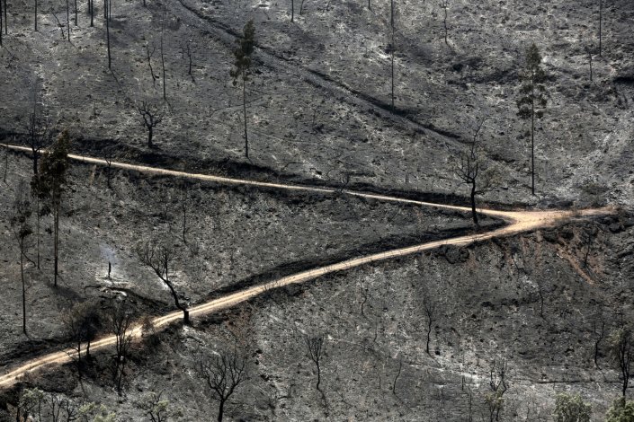 Estado da floresta após a passagem de um incêndio florestal na zona da Ribeira da Perna da Negra, na Serra de Monchique, no distrito de Faro, 4 de Agosto de 2018.