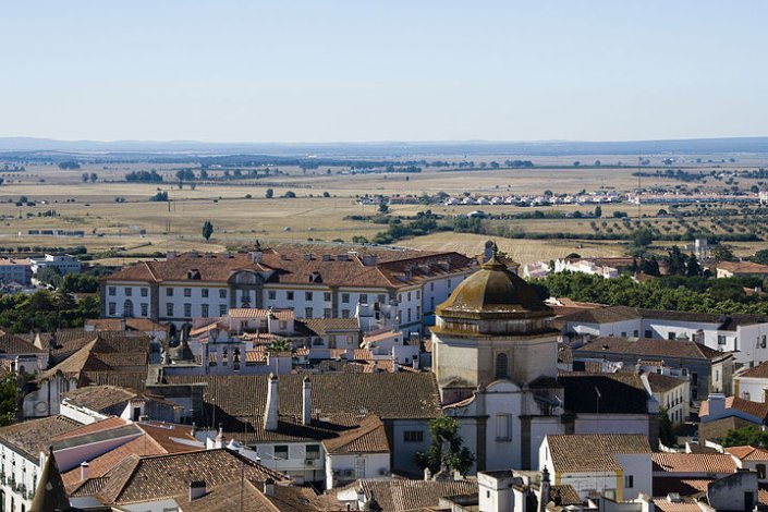 Criado em 2015, o AMAlentejo luta contra a desertificação e a perda de potencialidades do Alentejo