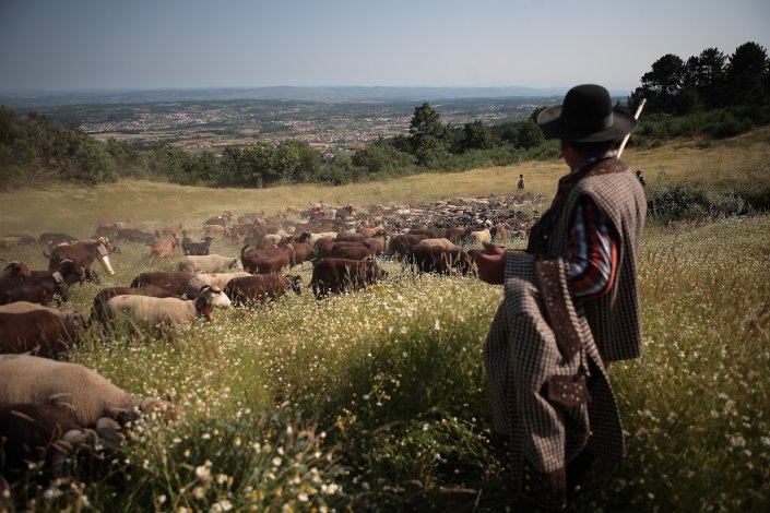 Depois da estreia, o realizador pretende levar o filme a festivais de cinema e fazer uma apresentação da película em Tábua e em Oliveira do Hospital