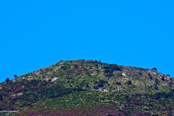 Serra da Argemela, freguesia de Barco, Fundão.