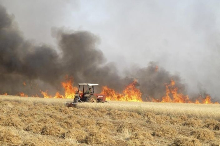 Agricultores acusam milícias curdas e células do Daesh de serem responsáveis pelos incêndios nos campos de trigo e cevada no Nordeste da Síria