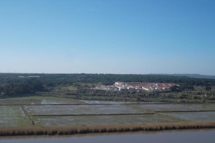 Vista geral dos arrozais em Alcácer do Sal