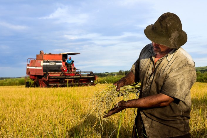 A luta pela reforma agrária é uma das batalhas do MST
