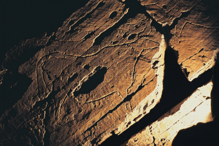 A abertura do museu à segunda-feira implica que trabalhadores afectos a tarefas relacionadas com a investigação, gestão ou conservação do parque «sejam obrigados a desempenhar funções de bilheteira, visitação ou de venda»