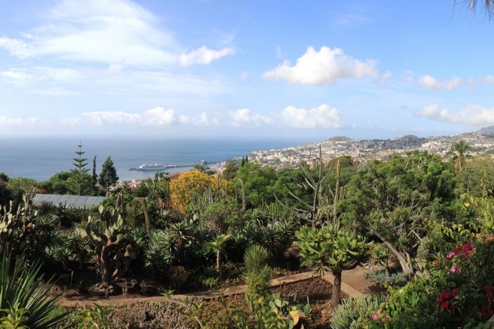 Jardim Botânico da Madeira – Eng.º Rui Vieira