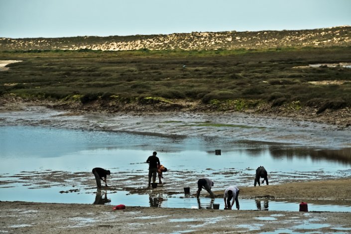 Marisqueiros na Ria Formosa