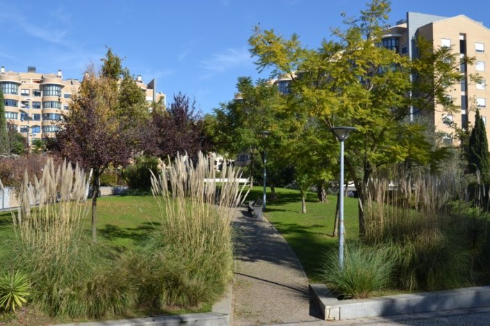 Os signatários recordam que a malha habitacional do bairro de Telheiras «prima pelo adequado enquadramento de espaços verdes»