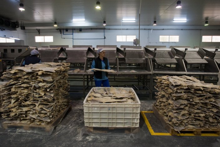 A empresa Riberalves tentou obstruir um plenário de trabalhadores