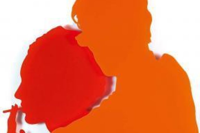 Sombras, Lourdes Castro, 1988