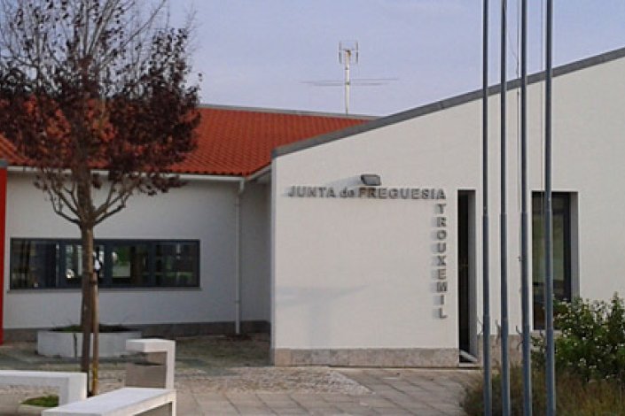 A união das freguesias de Trouxemil e de Torre de Vilela decorreu da «reforma administrativa» imposta pelo governo anterior, à revelia dos interesses das populações