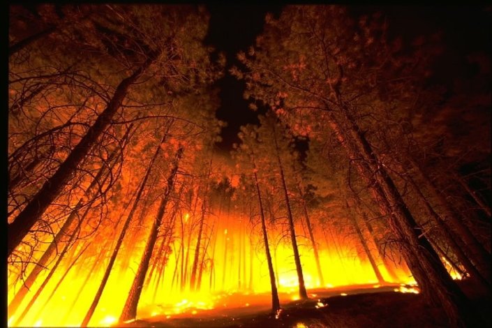«Ao longo das últimas três décadas a área ardida em Portugal tem sido crescente»
