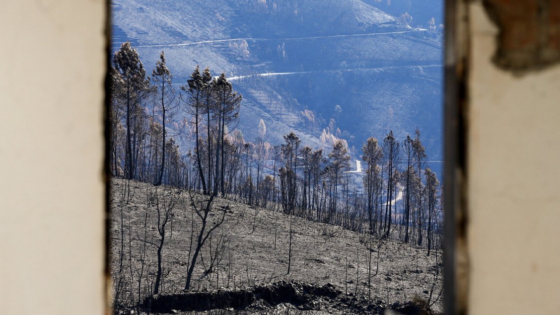 Novo plano, velhos planos
